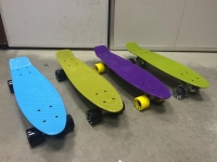 skateboard-fish-2